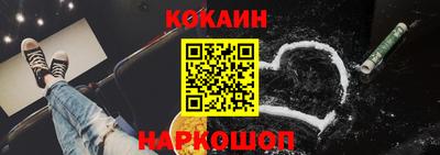 крисы Новокубанск