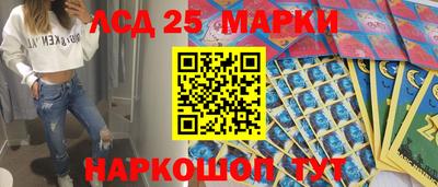 крисы Новокубанск