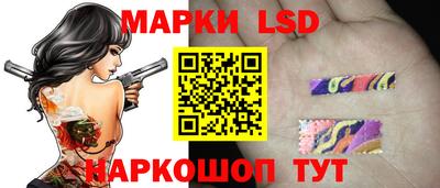 крисы Новокубанск