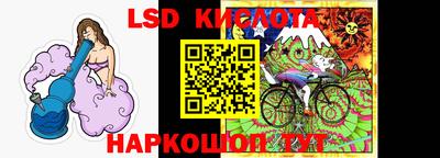 крисы Новокубанск