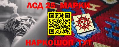 мдпв Новозыбков