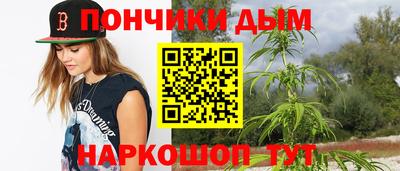 спиды Новодвинск