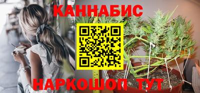 крисы Новокубанск