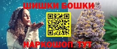 крисы Новокубанск