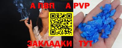 спиды Новодвинск