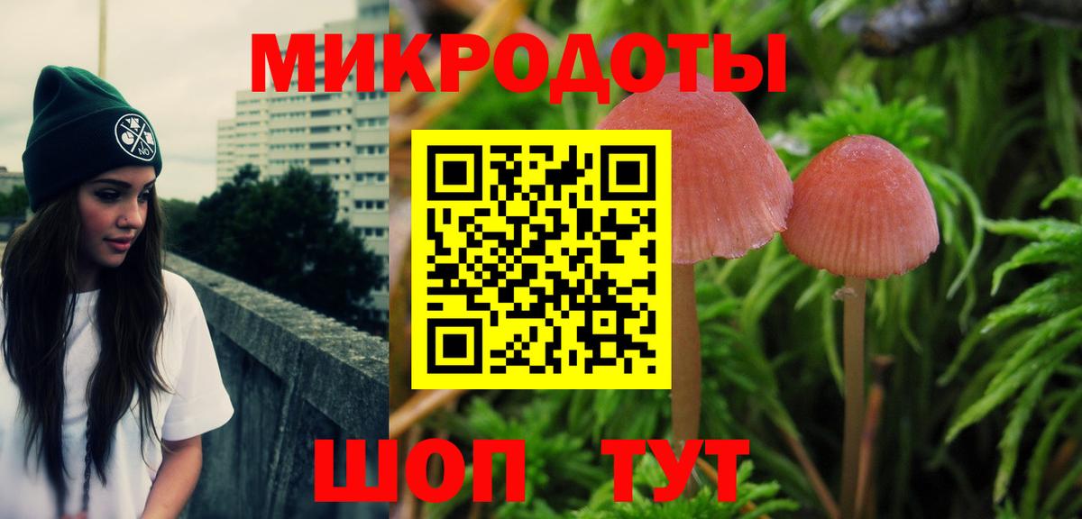 где купить наркоту  Галлюциногенные грибы MAGIC MUSHROOMS  Галлюциногенные грибы Cubensis  Вход с VPN  Саров 